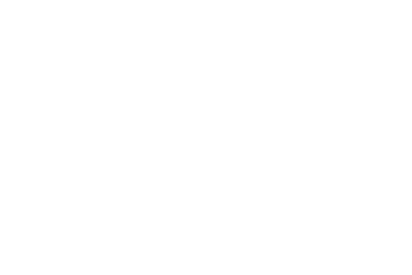 airlink